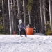 training43von47